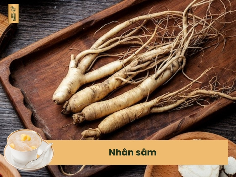 Nhân sâm chưng yến