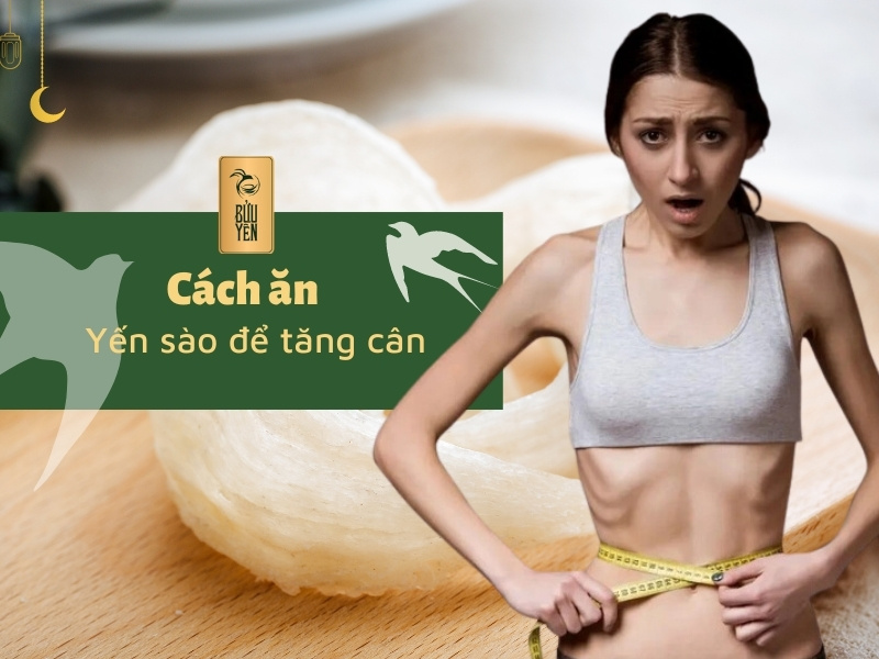 Cách ăn yến sào để tăng cân