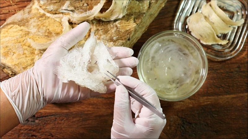 Yến chưng bổ dưỡng