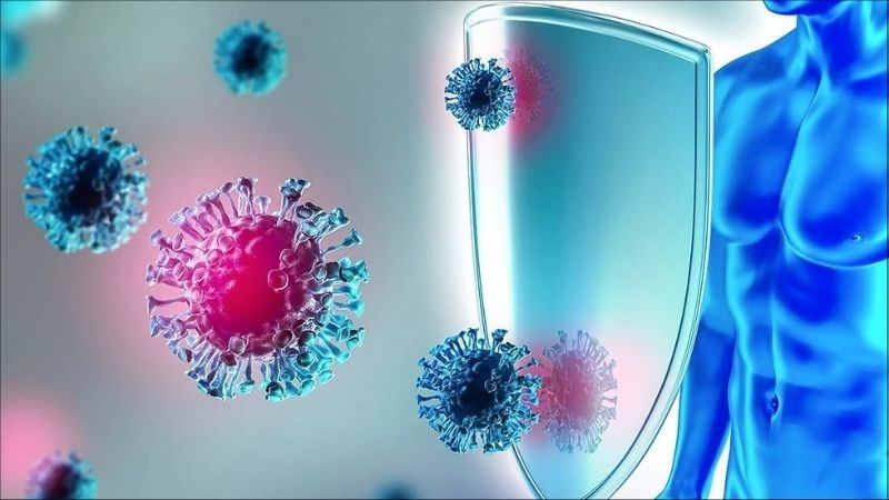 Yến sào tăng cường miễn dịch