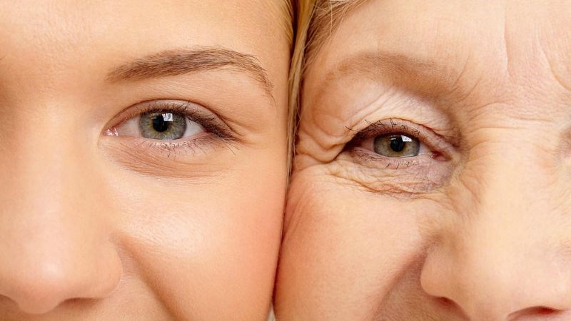 Yến sào hỗ trợ chống lão hóa