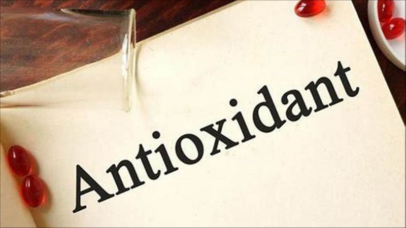 Yến sào giàu chất chống oxy hóa