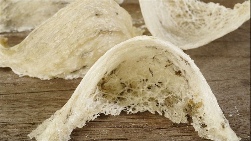 Yến sào giàu dưỡng chất quý