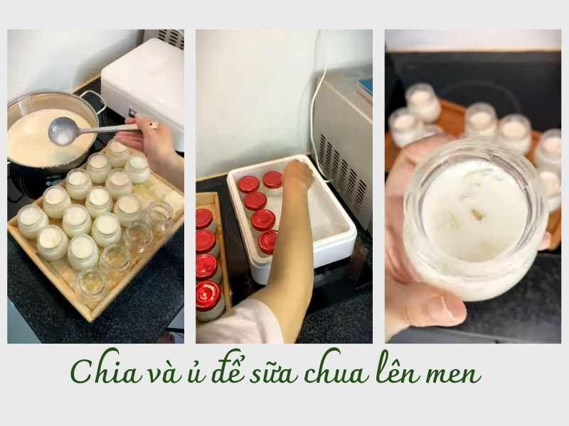 Ủ sữa chua yến