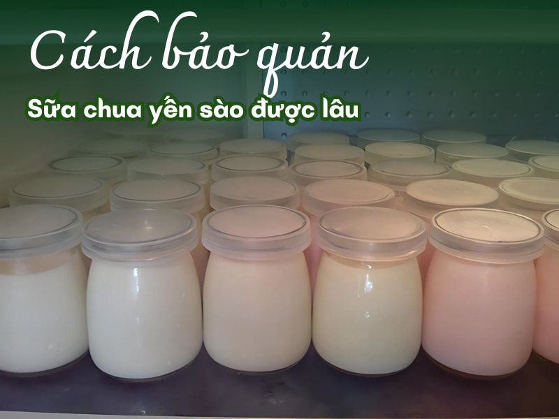 Bảo quản sữa chua yến sào