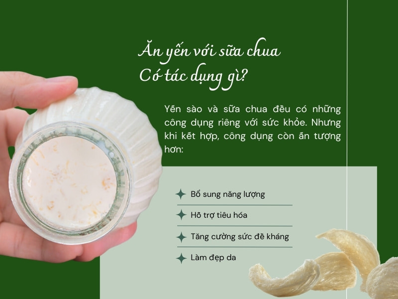 Công dụng của sữa chua yến sào