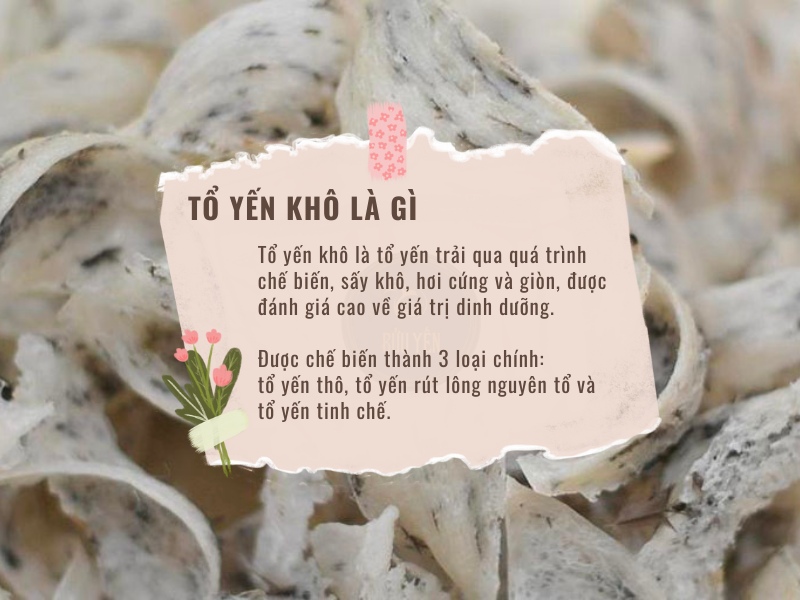 Tổ yến sào khô