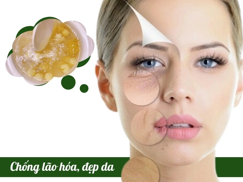 Tác dụng của yến chưng hạt sen