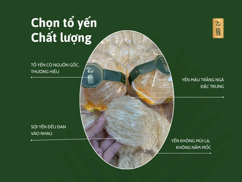 Cách chọn tổ yến chất lượng để chưng hạt sen