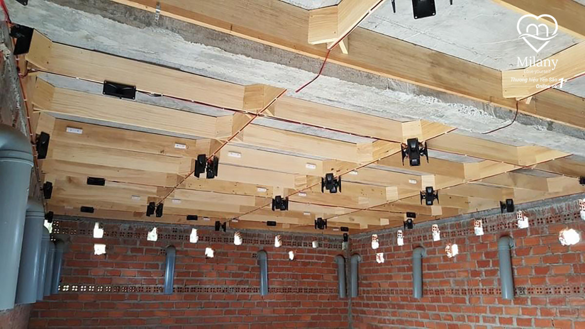 Bố trí loa và âm thanh trong nhà yến