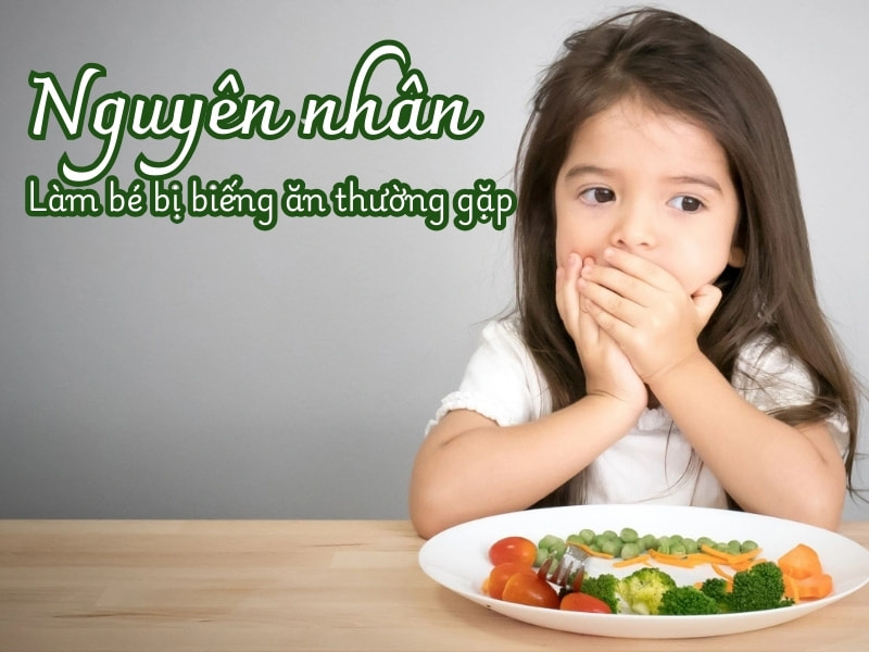 Nguyên nhân khiến trẻ biếng ăn