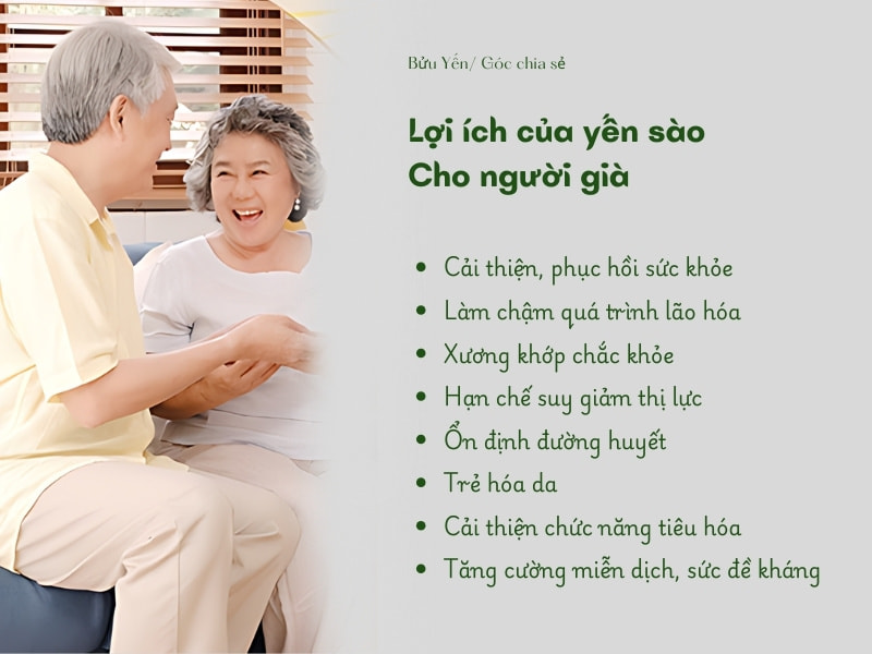 Lợi ích của yến sào với người già