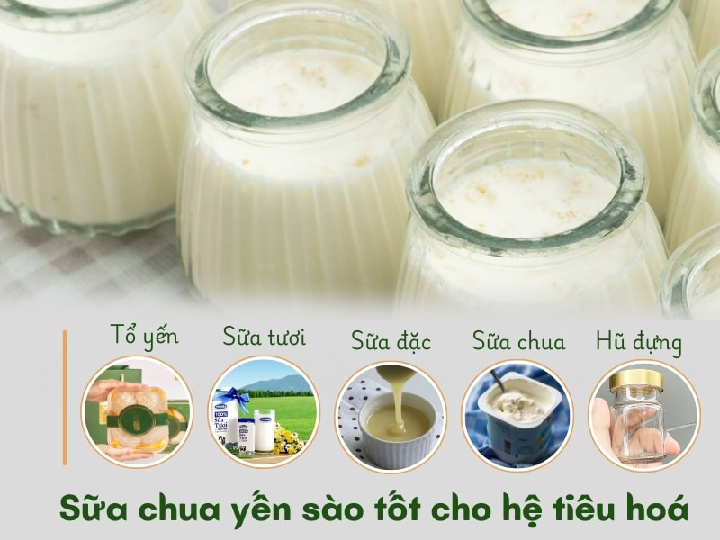 Sữa chua yến sào