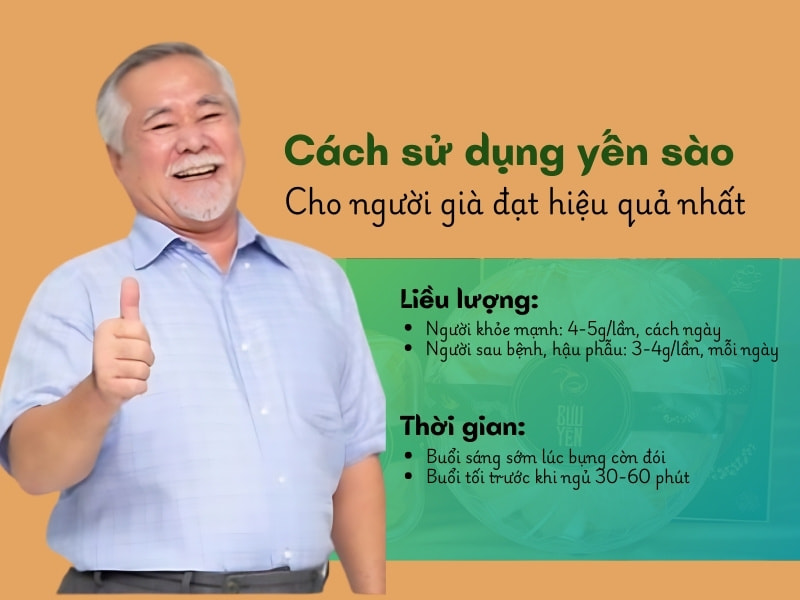 Cách sử dụng yến sào cho người già đúng cách