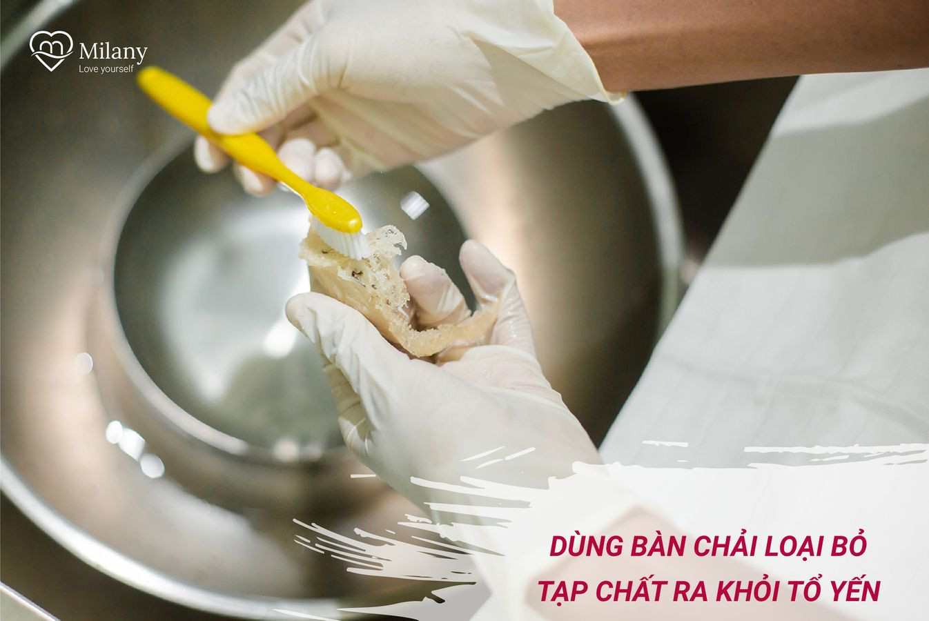 Làm sạch tổ yến thô trước khi ủ lạnh