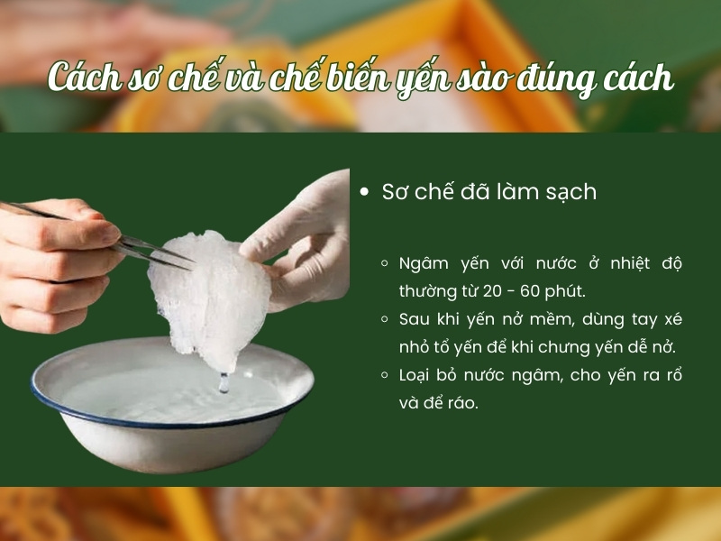 Sơ chế yến tinh chế và yến rút lông