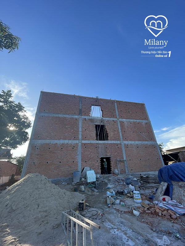 Có nên đầu tư xây dựng nhà yến với kinh nghiệm người từng trải