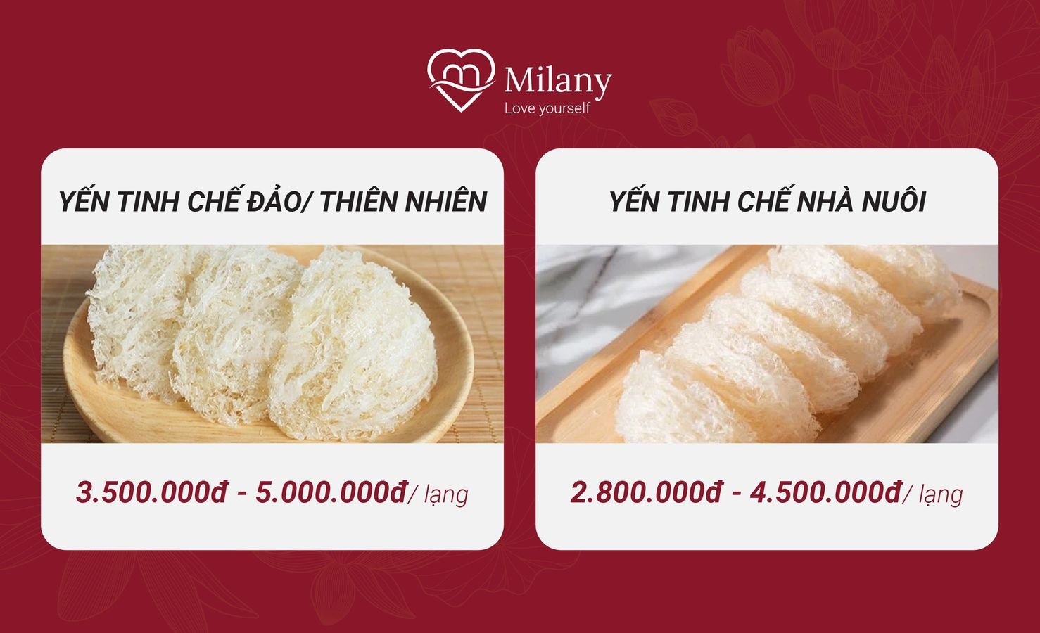 Giá yến tinh chế tự nhiên