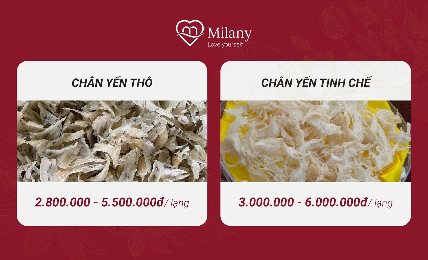 Giá chân yến thô và tinh chế