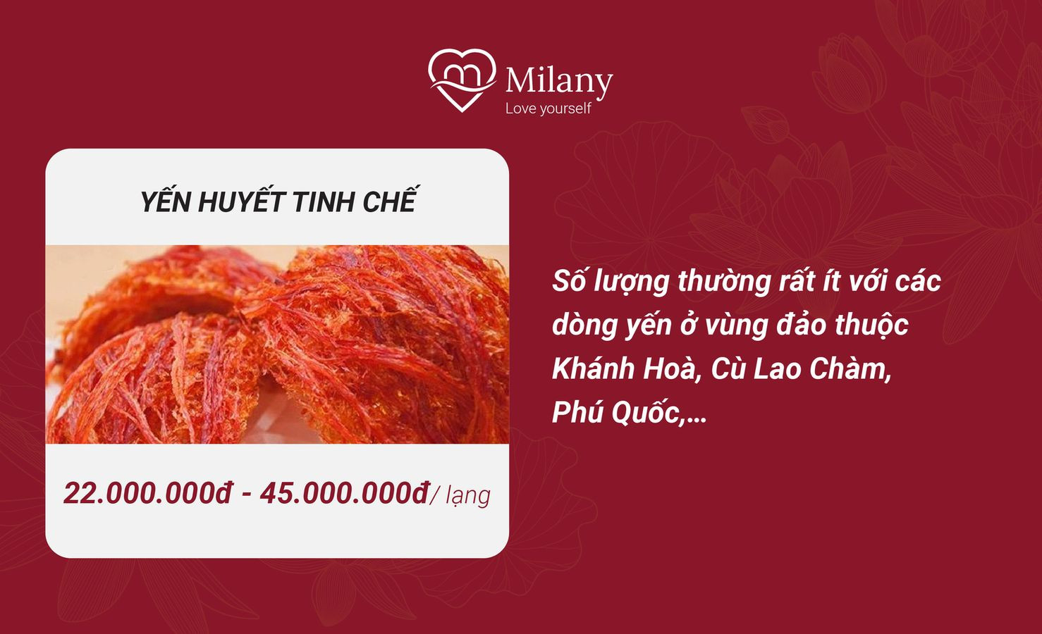 Giá yến huyết tự nhiên