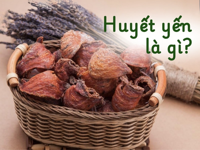 Huyết yến là gì