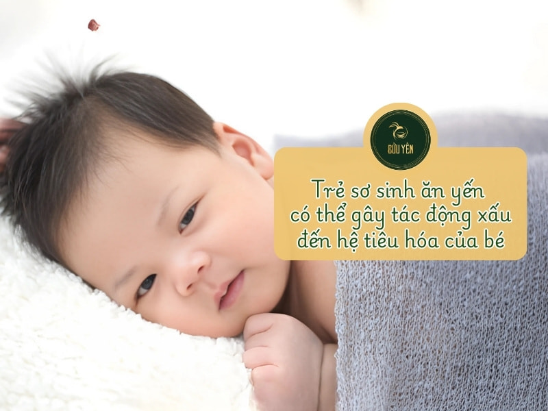 Trẻ sơ sinh ăn yến có hại không