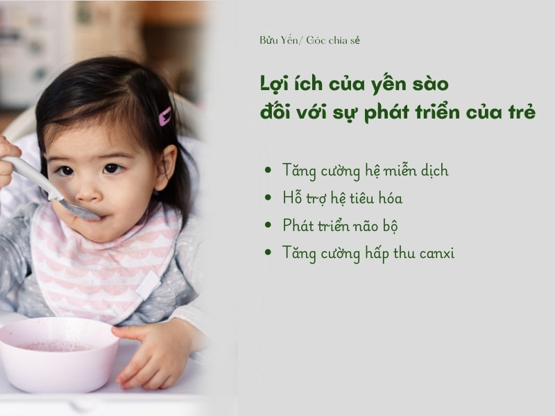 Lợi ích của yến sào đối với trẻ em