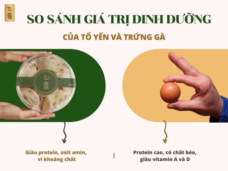 So sánh yến sào và trứng gà