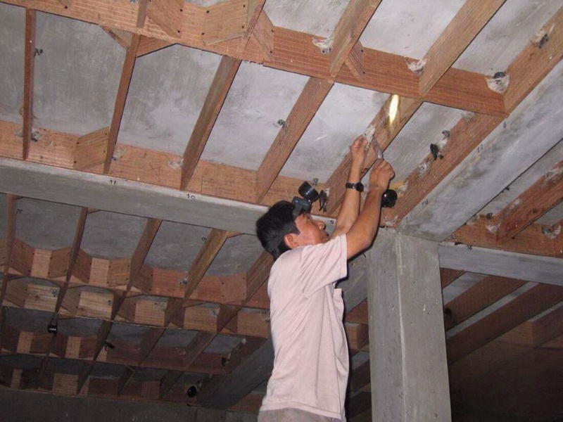 Thời điểm khai thác tổ yến