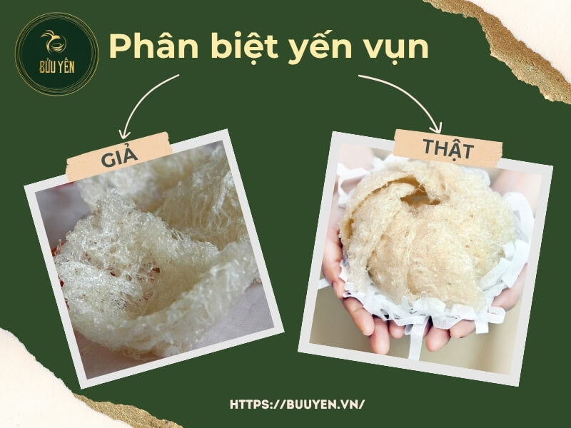Phân biệt yến vụn thật giả