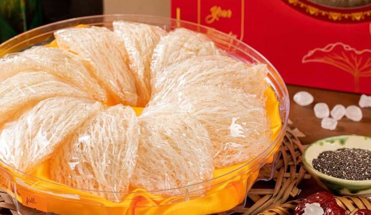 Sâm Yến Thịnh Phát TPHCM