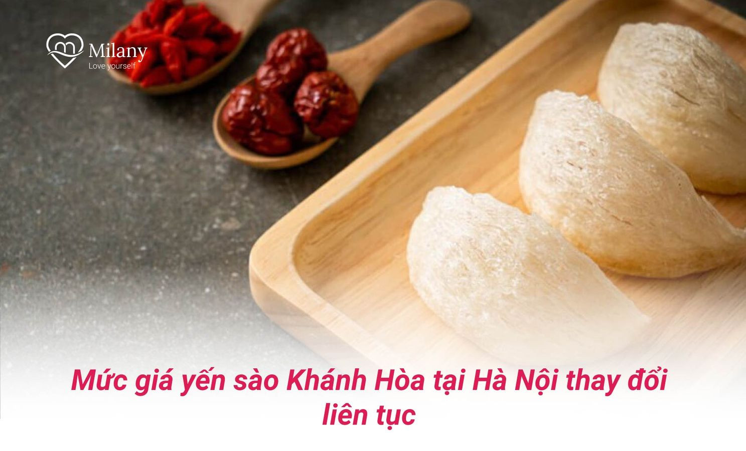 Giá yến sào Khánh Hòa tại Hà Nội