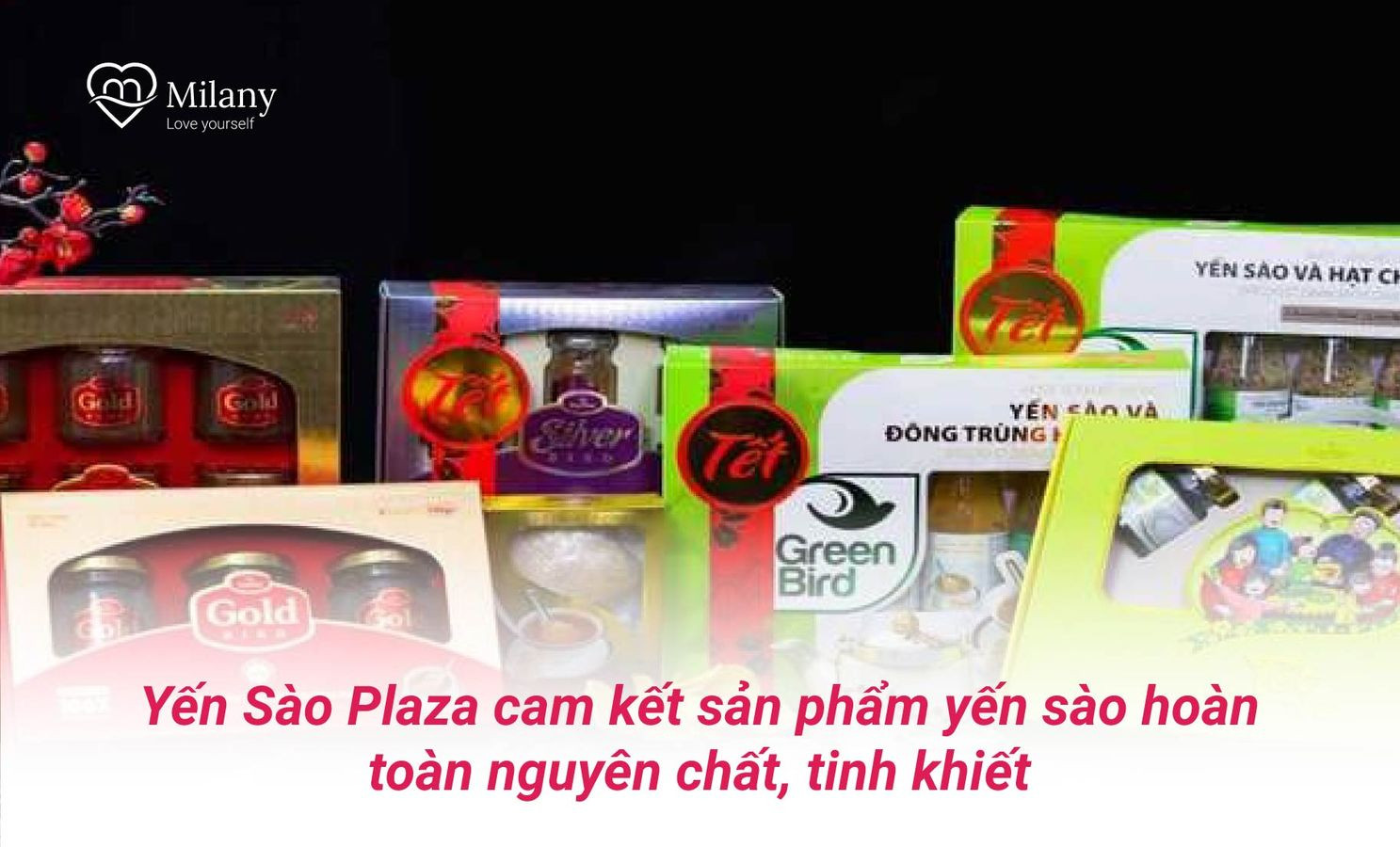 Yến sào Khánh Hòa tại Hà Nội