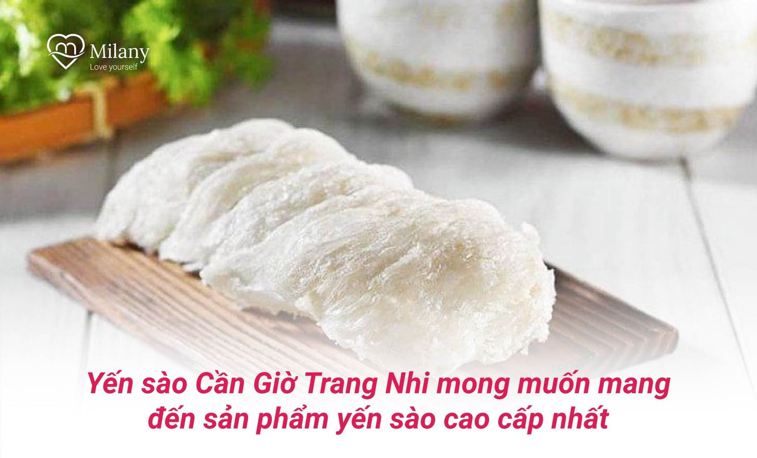 Yến sào Khánh Hòa tại Hà Nội