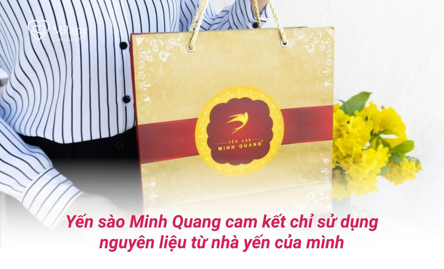 Yến sào Khánh Hòa tại Hà Nội