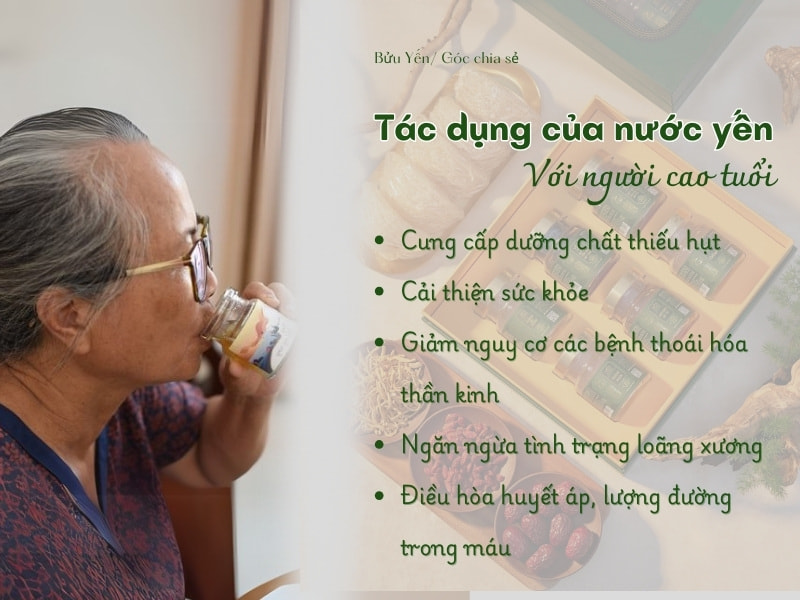 Nước yến cho người cao tuổi