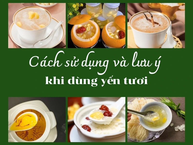 Cách dùng yến tươi