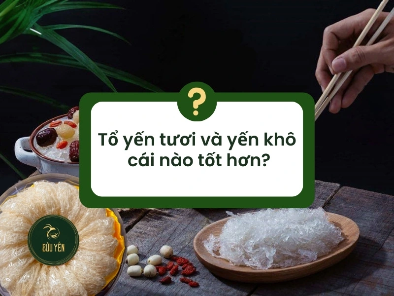 So sánh yến tươi và yến khô