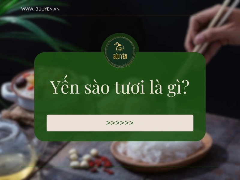 Yến tươi là gì