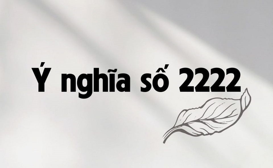 2222 có ý nghĩa gì? Khám phá bí ẩn đằng sau con số thiên thần 2222 | Thông điệp về sự cân bằng
