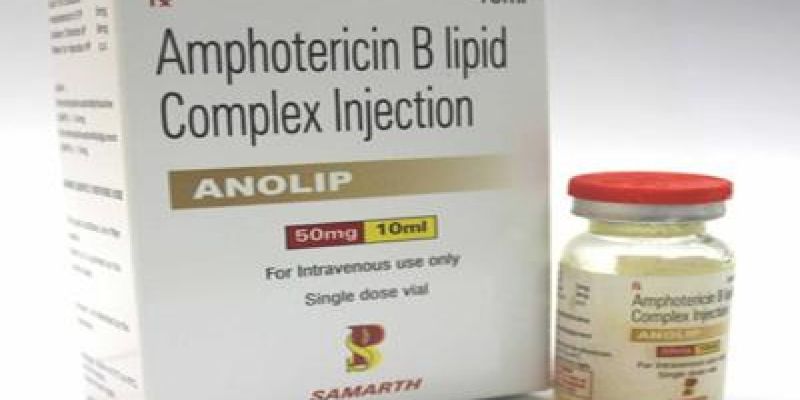 Amphotericin B điều trị nấm phổi gà