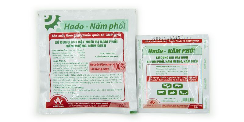 Itraconazole điều trị nấm phổi