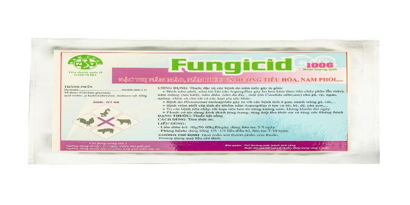 Lưu ý khi dùng thuốc trị nấm phổi cho gà