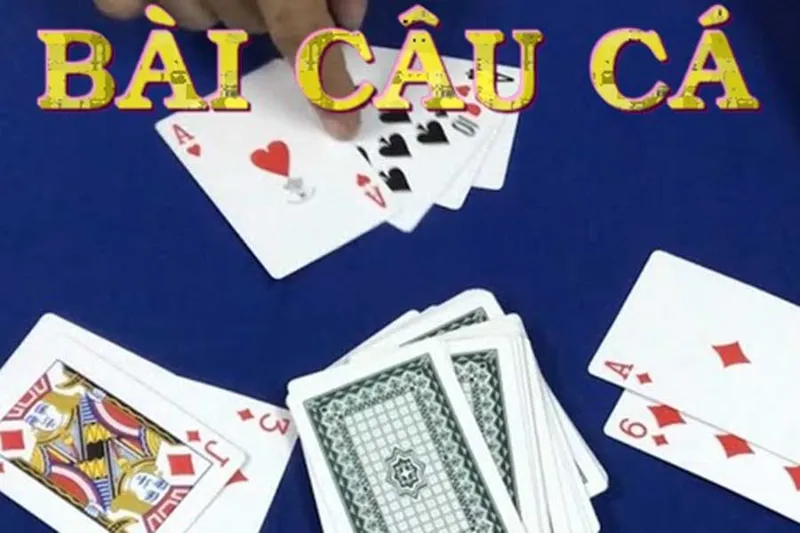 Hướng Dẫn Chi Tiết Luật Chơi Bài Câu Cá Và Chiến Thuật Hiệu Quả