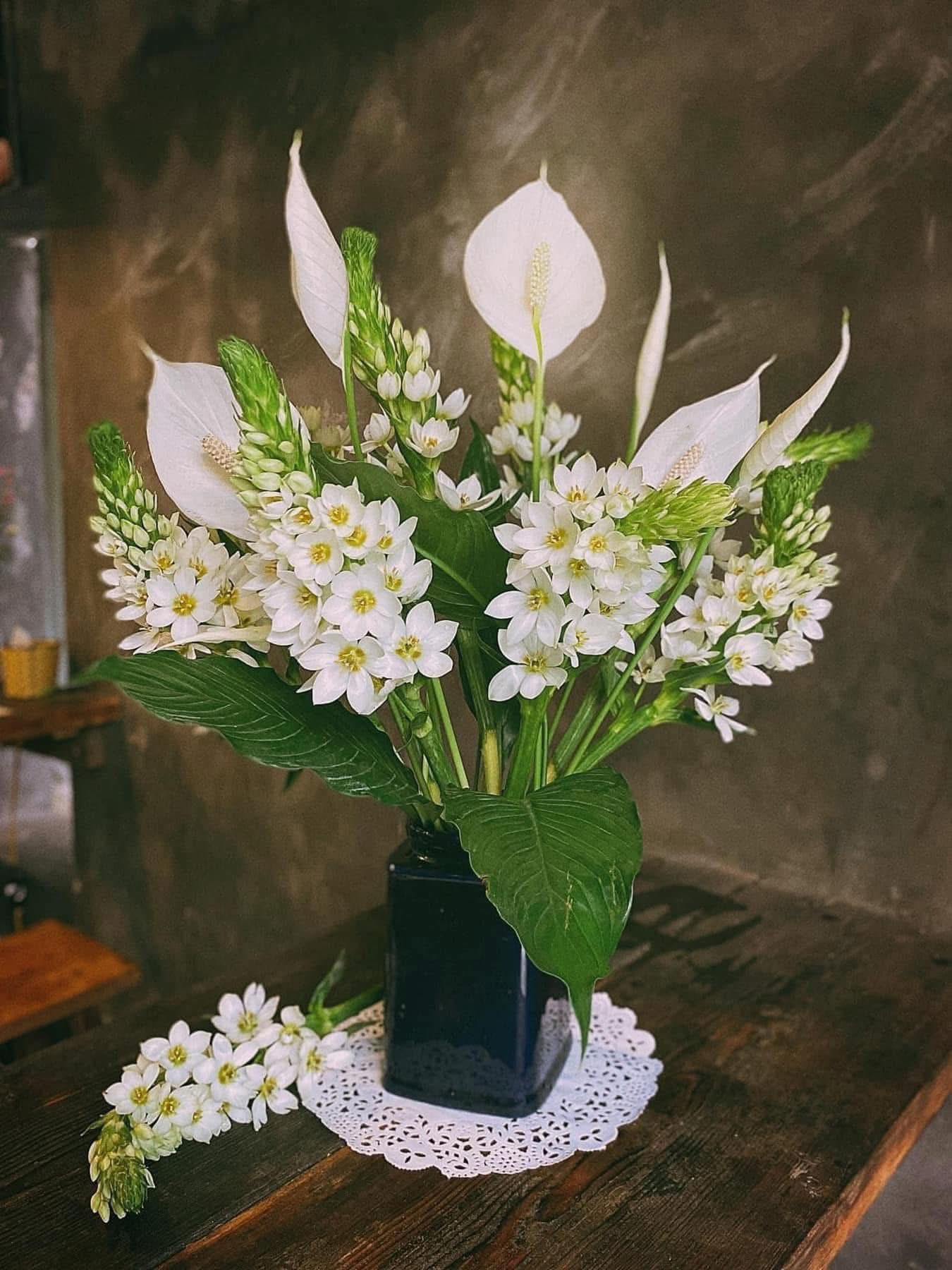1 Số Ý Nghĩa và Đặc Điểm của Hoa Thiên Nga -